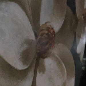 Meet your Posher, Evelin